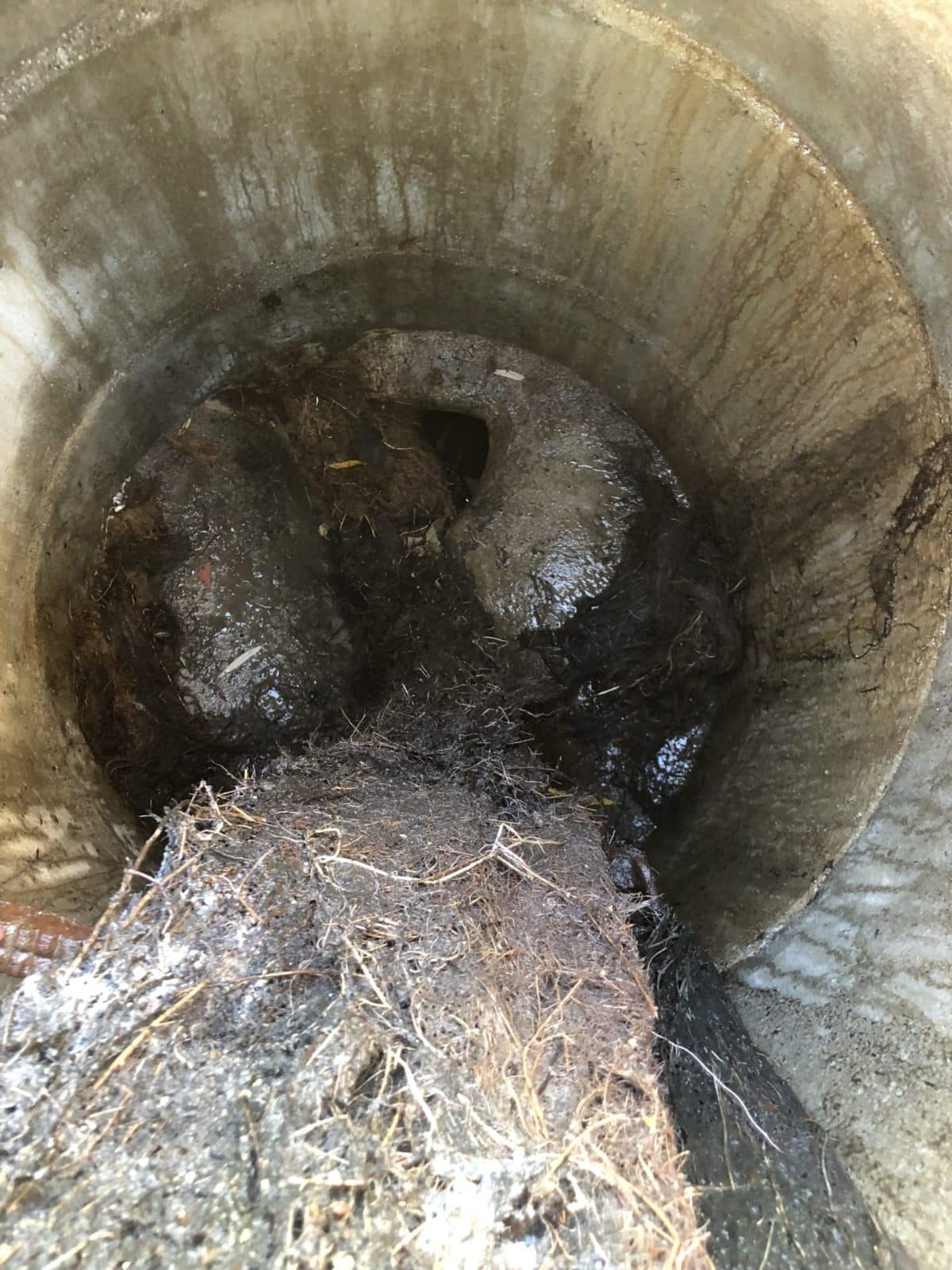 Wurzel fräsen aus Kanal